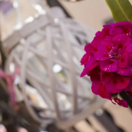 Apartmán Residenza Ariosto Depandance By